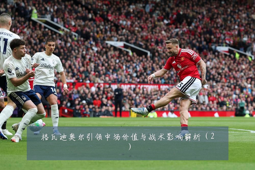 格瓦迪奥尔引领中场价值与战术影响解析（2）
